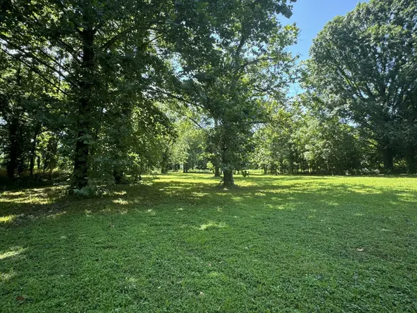0 Sauger Dr, Charlotte, TN 37036