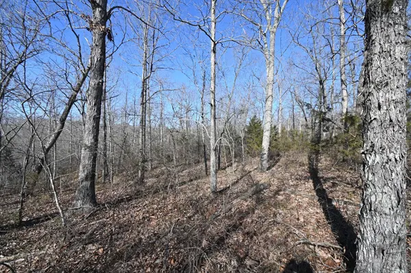 130 Wyatt Lane, Linden, TN 37096