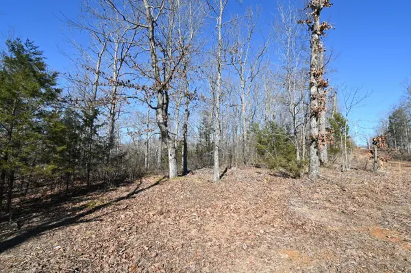 130 Wyatt Lane, Linden, TN 37096
