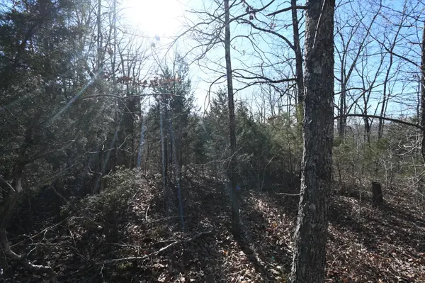 146 Wyatt Lane, Linden, TN 37096