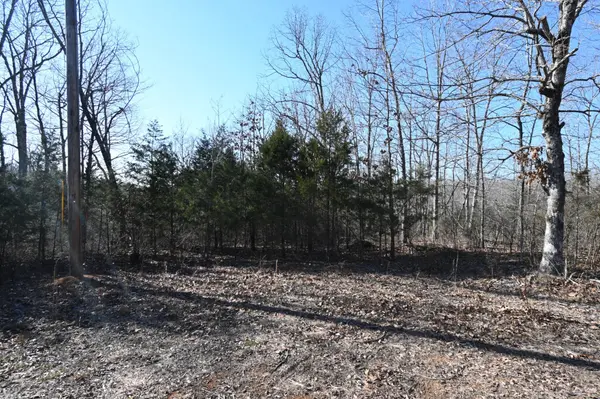 146 Wyatt Lane, Linden, TN 37096