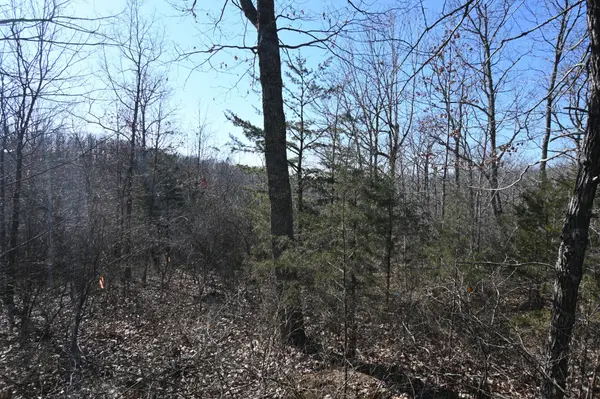146 Wyatt Lane, Linden, TN 37096