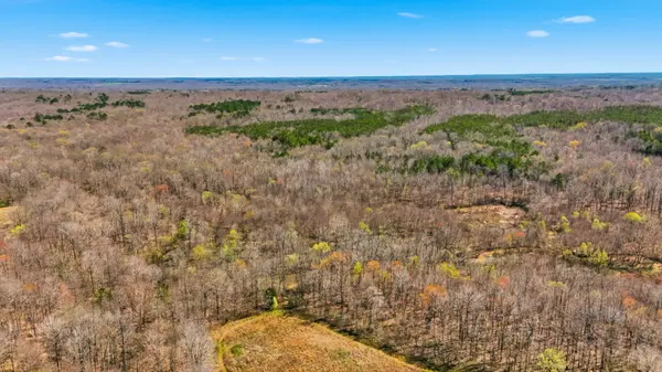0 Fowler Rd, Beech Bluff, TN 38313