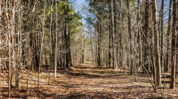 0 Fowler Rd, Beech Bluff, TN 38313