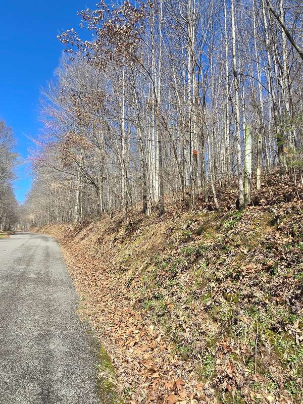 627 Stewart Hollow Rd, Lynchburg, TN 37352