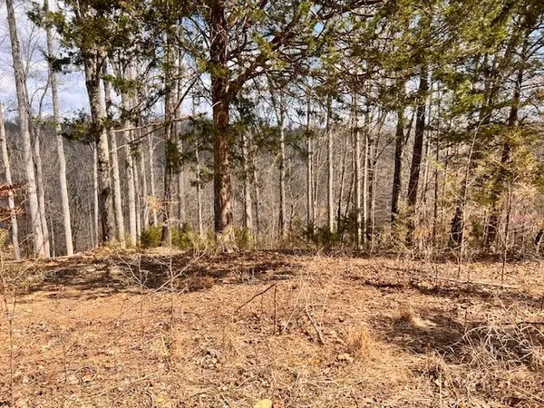 0 Gennies Way, Lynchburg, TN 37352