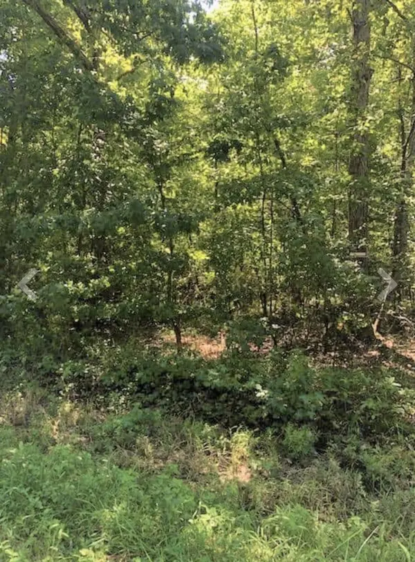 0 Sunset Drive, Manchester, TN 37355