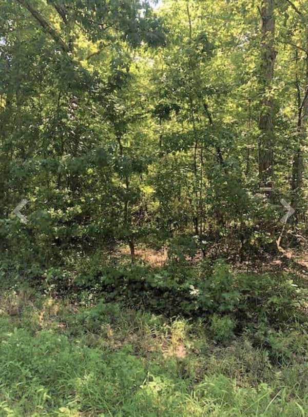 0 Sunset Drive, Manchester, TN 37355