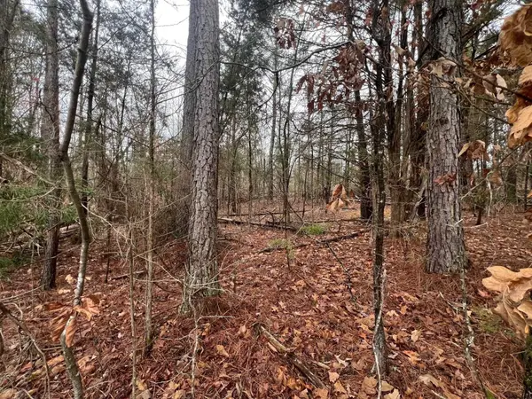 156 IRON HORSE TRL, Parsons, TN 38363
