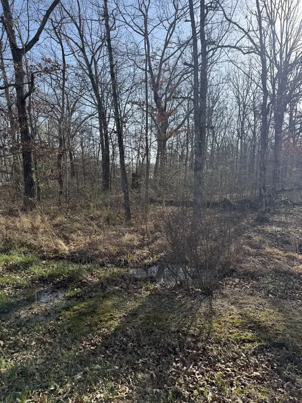 0 Cheyenne Cir, Beechgrove, TN 37018