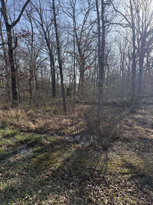 0 Cheyenne Cir, Beechgrove, TN 37018