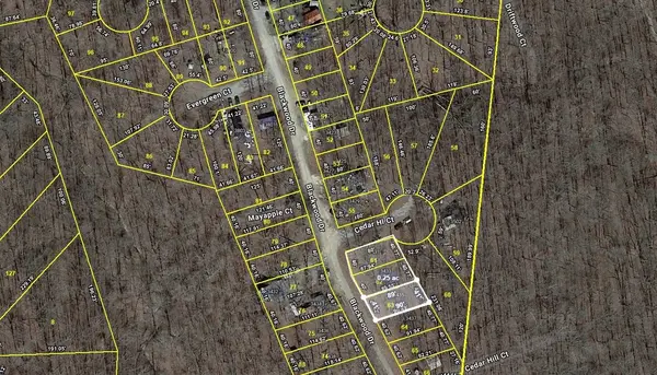3433 Blackwood Dr, Nunnelly, TN 37137