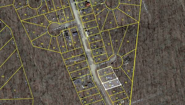 3433 Blackwood Dr, Nunnelly, TN 37137