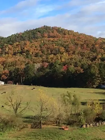 3702 Wears Valley Rd, Sevierville, TN 37862