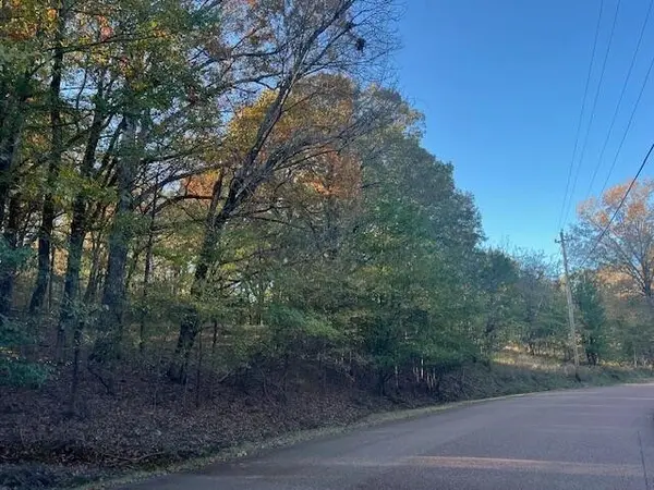 9021 E PLANTERS VIEW CV, Memphis, TN 38133