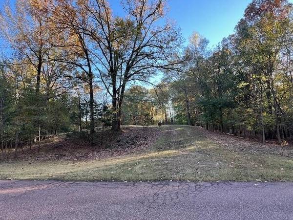 9021 E PLANTERS VIEW CV, Memphis, TN 38133