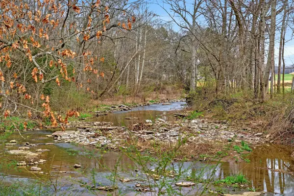 1289 Old Hopewell Rd, Castalian Springs, TN 37031