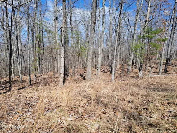349 Rotherham Drive, Crossville, TN 38558