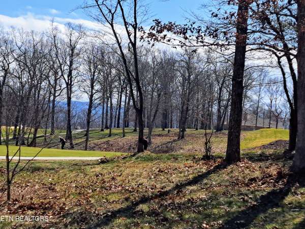349 Rotherham Drive, Crossville, TN 38558