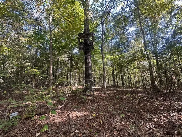 534 Whitney Branch Rd, Springville, TN 38256