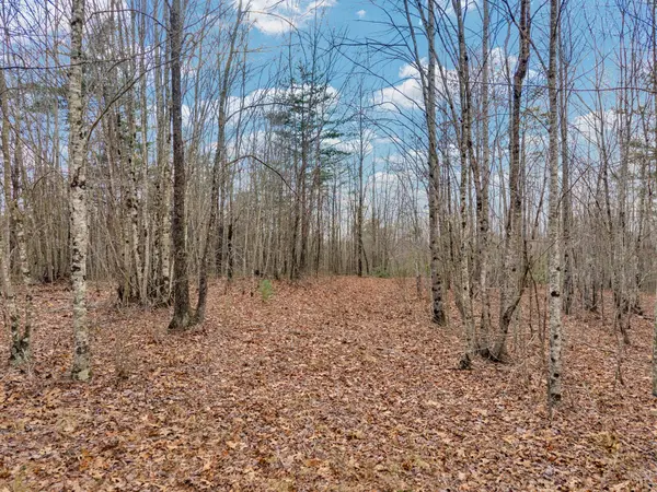 0 Soak Creek Ln, Grandview, TN 37337