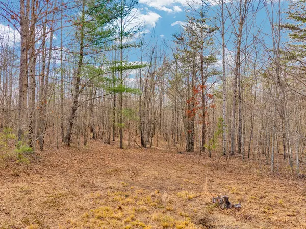 0 Soak Creek Ln, Grandview, TN 37337