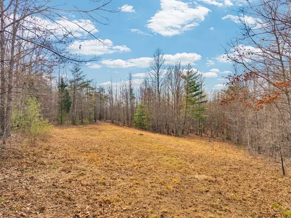 0 Soak Creek Ln, Grandview, TN 37337