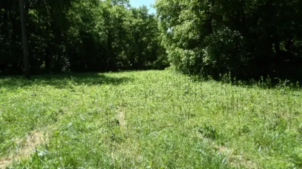 5155 Brimstone Creek Rd, Moss, TN 38575