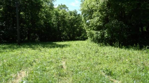 5155 Brimstone Creek Rd, Moss, TN 38575