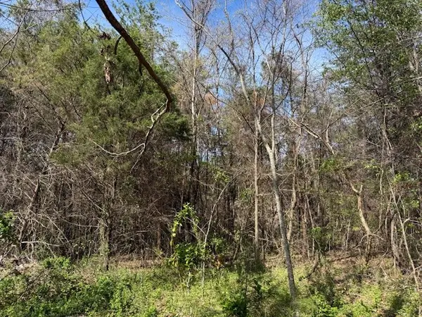 0 Shellsford Rd, Mc Minnville, TN 37110