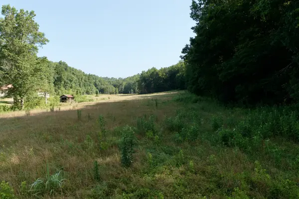 0 Nix Ln, Waverly, TN 37185