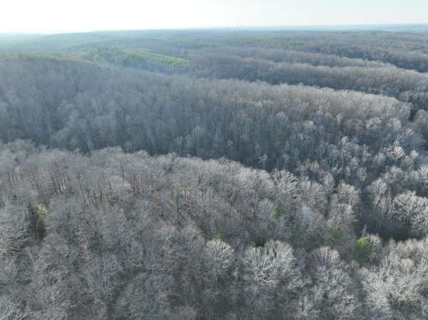 1356 Upper Standing Rock Rd, Dover, TN 37058