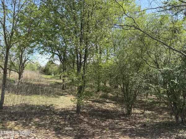 0 E Shore Drive, Rockwood, TN 37854