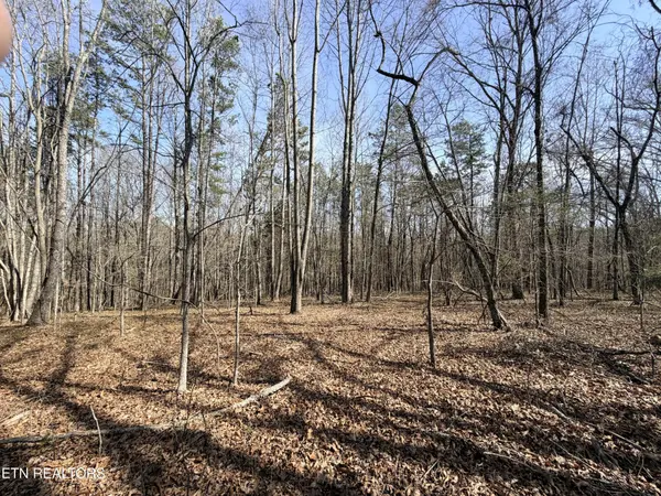 0 Montview Rd, Lenoir City, TN 37771