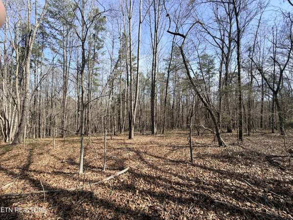 0 Montview Rd, Lenoir City, TN 37771