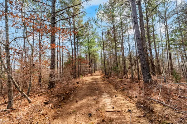 0 Jay Hutchings Road, Sparta, TN 38583