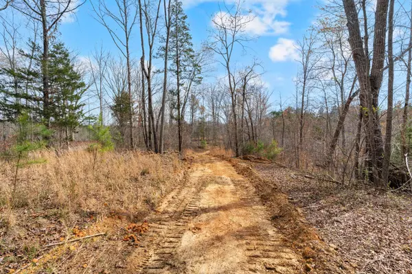 0 Jay Hutchings Road, Sparta, TN 38583