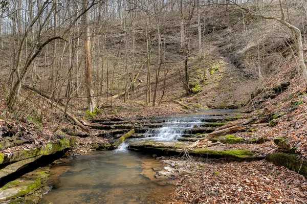 0 Jay Hutchings Road, Sparta, TN 38583