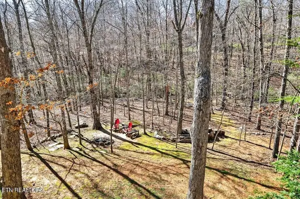 499 Hemlock Lane, Spencer, TN 38585