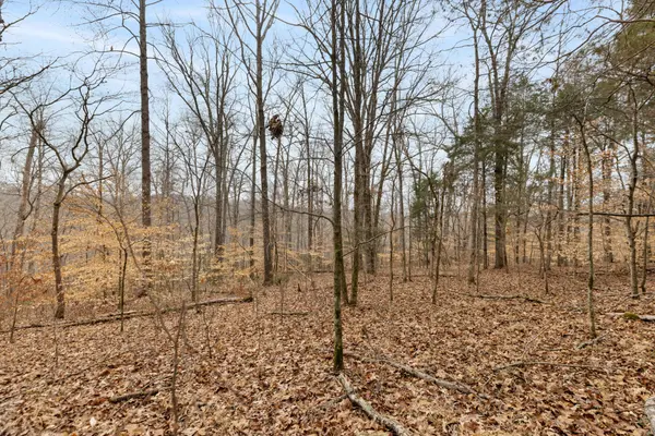 0 Griffintown Road, White Bluff, TN 37187