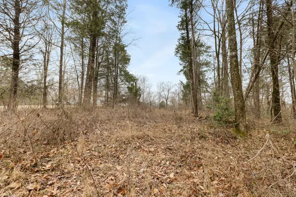 0 Griffintown Road, White Bluff, TN 37187