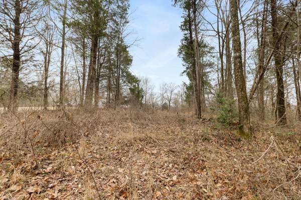 0 Griffintown Road, White Bluff, TN 37187