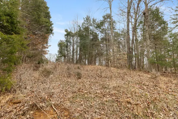 0 Griffintown Road, White Bluff, TN 37187