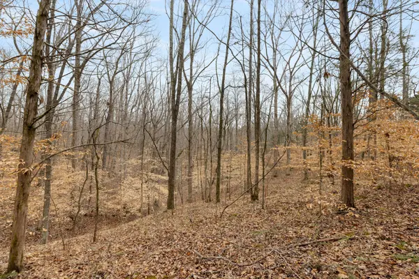 0 Griffintown Road, White Bluff, TN 37187