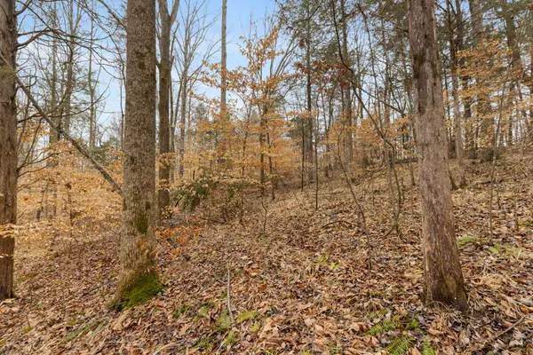 0 Griffintown Road, White Bluff, TN 37187