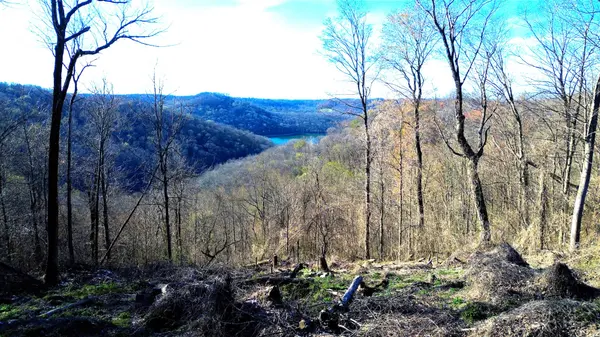 0 Lola Dr, Smithville, TN 37166