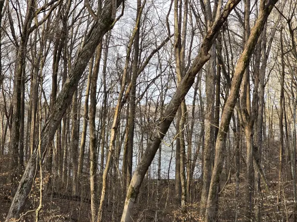 33 Rockcastle Shores, Cadiz, KY 42211