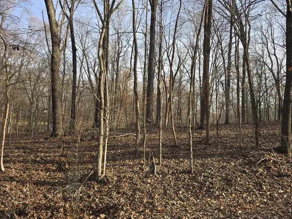 33 Rockcastle Shores, Cadiz, KY 42211