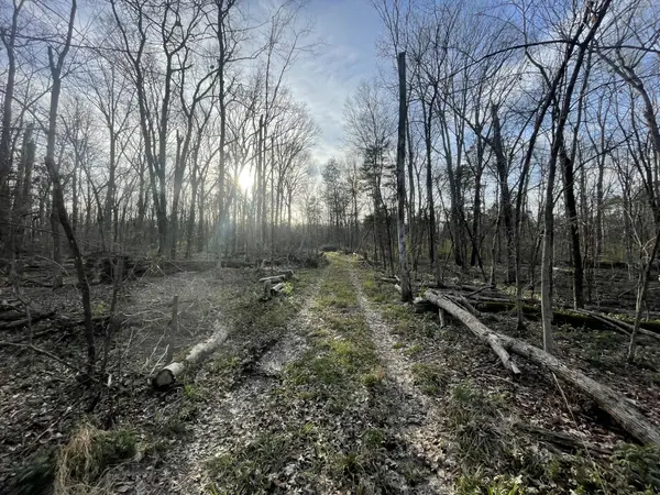 9290 Christiana Fosterville Rd, Christiana, TN 37037