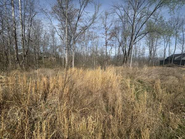0 Ridgeway Drive, Smithville, TN 37166